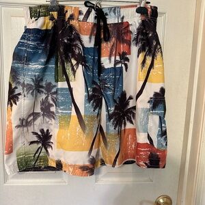 Boys Sonoma Board Shorts Large very Lightly Worn